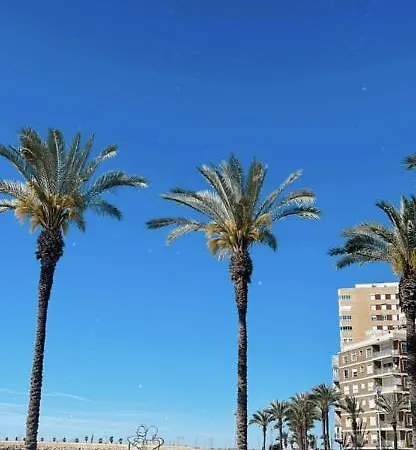 Apartament Playa Del Cura *